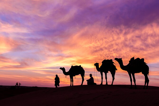 Evening Desert Safari With BBQ Dinner and Live Shows - BBQ Dinner Menu Highlights