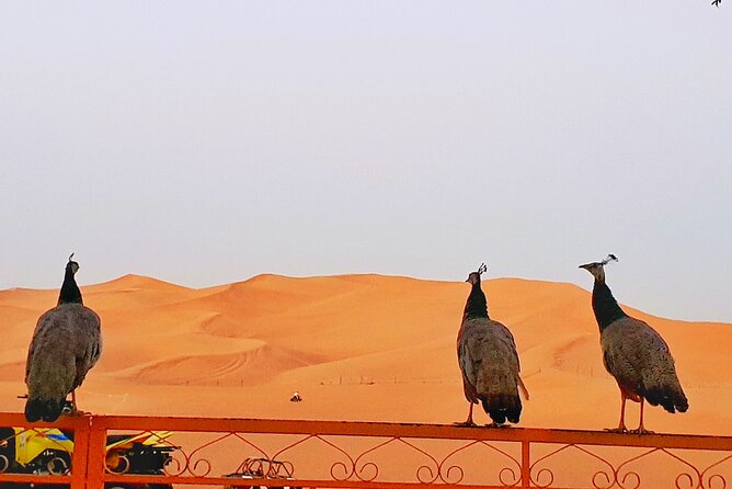 Evening Desert Safari - Cancellation Policy Details