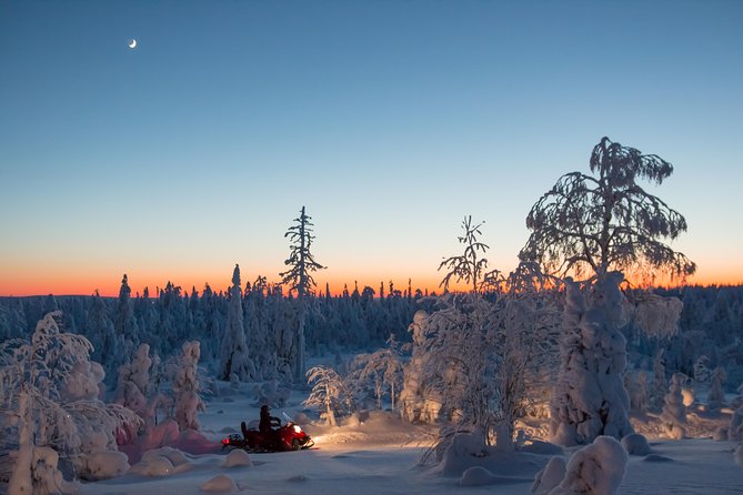 Evening Escape - Snowmobile Safari and Campfire in Rovaniemi - Experience Highlights