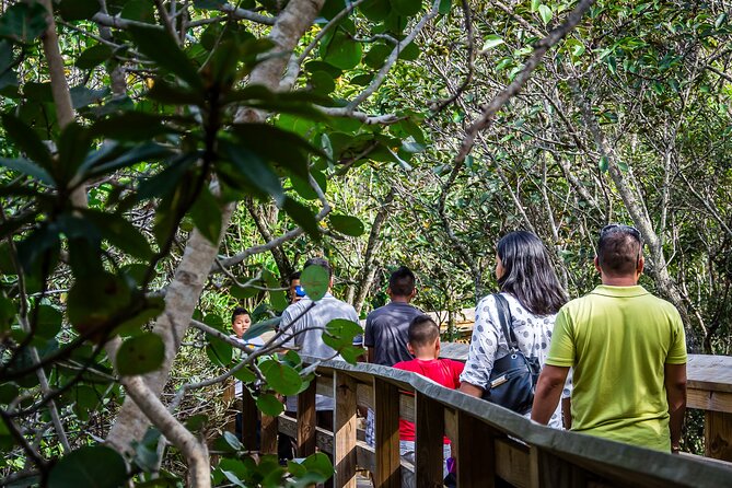 Everglades Airboat, Wildlife Experience With Roundtrip Transfer - Traveler Photos and Reviews