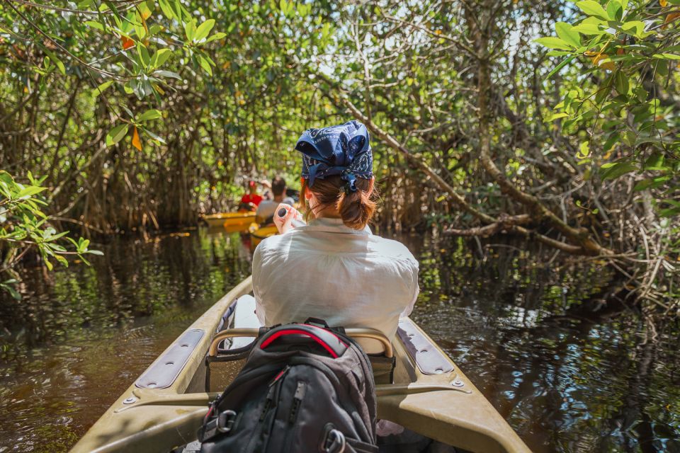 Everglades National Park: Mangrove Tunnel Kayak Eco-Tour - Experience Highlights