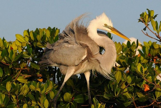 Everglades National Park Small Group Guided Boating & Walking Tour Expedition - Tour Schedule