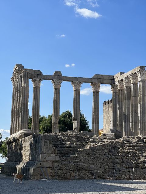Évora: Ancient Roman Temple & King's Christ Tour - Experience Highlights