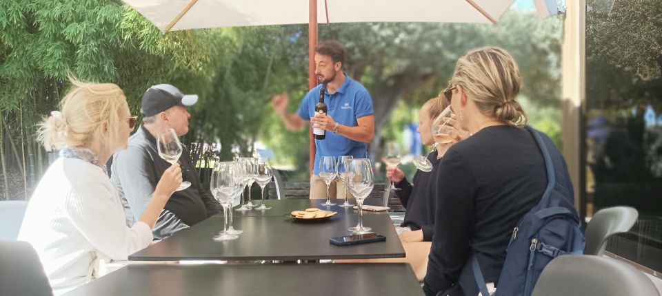Exclusive Arrábida Wine and Food Tasting Tour - Highlights of the Wine Tour
