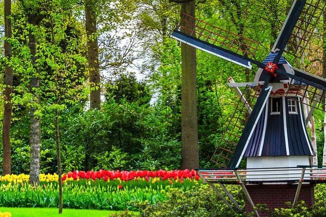 Exclusive Private Keukenhof and Tulip Fields Tour - Professional Guide and Local Insights
