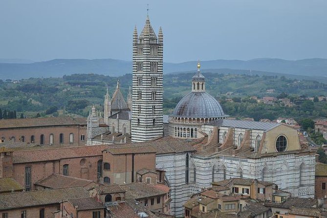 Exclusive Private Tour to Siena and San Gimignano - Admission Ticket and Additional Information