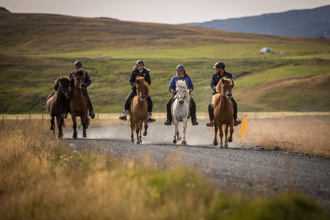 Exclusive Riding Program for Advanced Horse Riders - Give Me 5! - 2 to 3 Hours - Weather and Weight Restrictions