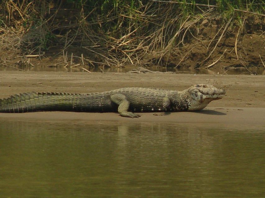 Excursion 2 Days/1 Nights in the Jungle: Tambopata - Highlights of the Excursion