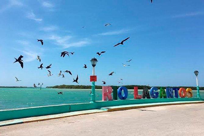 Excursion Las Coloradas & Rio Lagartos Only From Cancun - Inclusions and Logistics