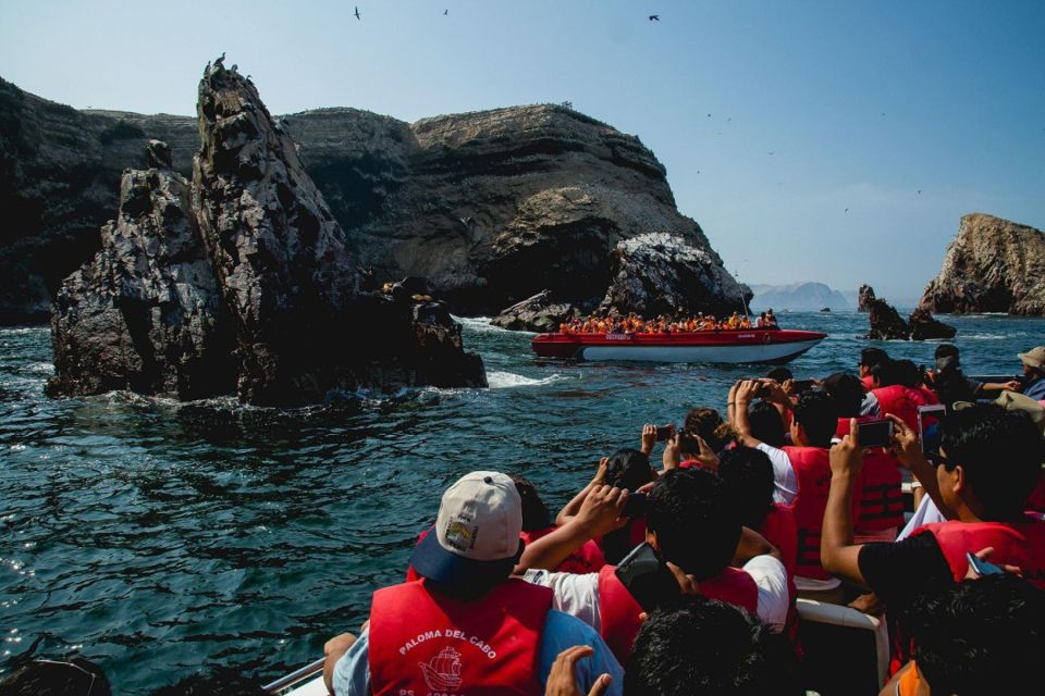 Excursion to Ballestas Islands and Paracas National Reserve - Experience Highlights