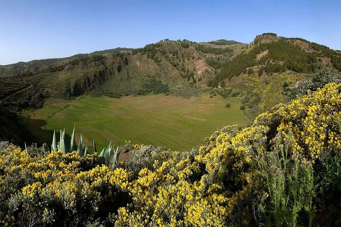 Excursion to the Center of the Island Gran Canaria - Questions and Verification