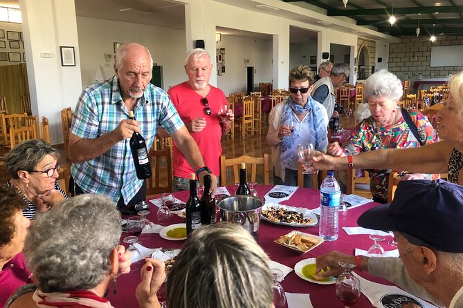 Excursion Visiting Wineries in Santa Cruz De Tenerife With Lunch - Wine Tasting Sessions