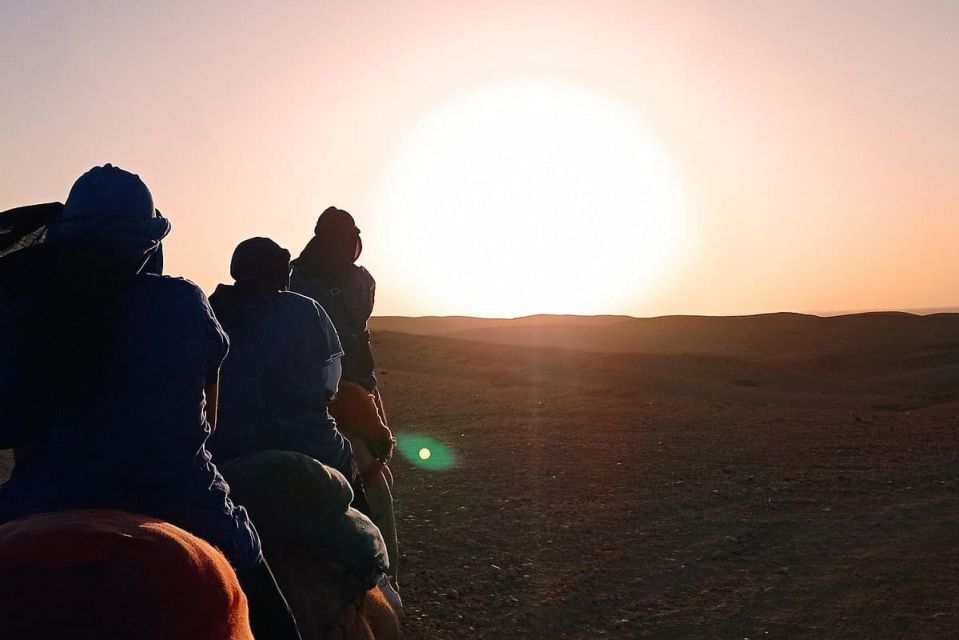 Experience a Camel Tour Through Palm Oasis and Jbilat Desert - Palm Oasis Exploration