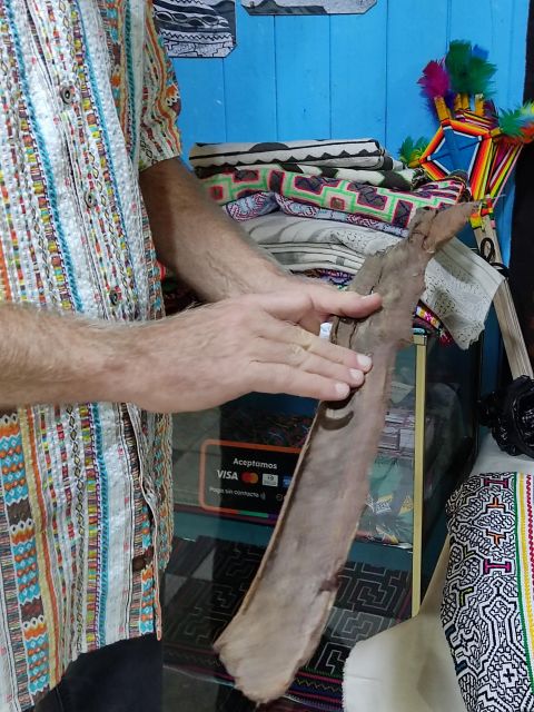 Experience Indigenous Art in Lima's Shipibo Community - Traditional Shipibo Art Techniques Revealed