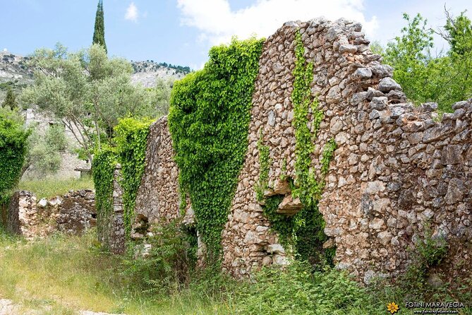 Experience Kefalonite Culture in Greece With Wine Tasting Tour - Private Transportation Inclusions