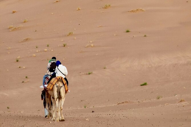 Experience Luxury in Zagora: 2-Day Desert Adventure - Accommodation and Amenities