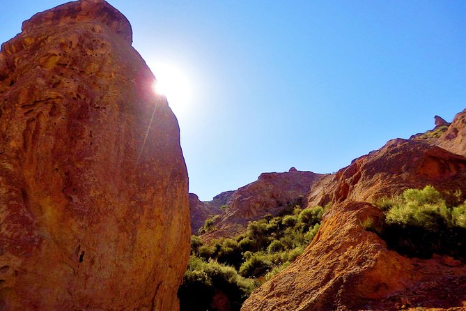 Explore Atuel Canyon and San Rafael: A Guided Adventure - Customer Reviews