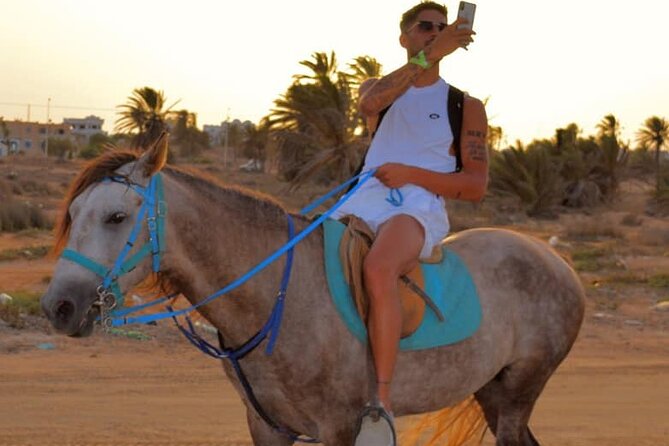 Explore Djerba With Our Four-Legged Friends - Best Places to Visit With Pets