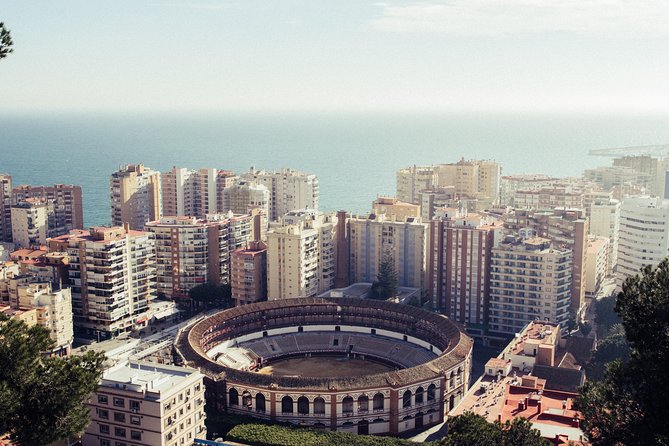 Explore Malaga in 1 Hour With a Local - Reviews and Ratings