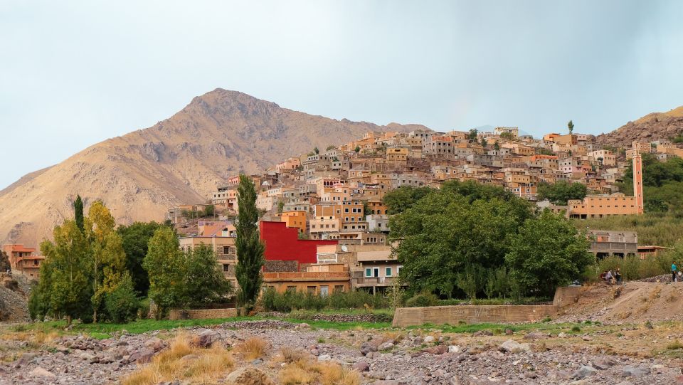 Explore the Atlas Mountains & Waterfalls With Lunch - Activity Experience and Itinerary Highlights