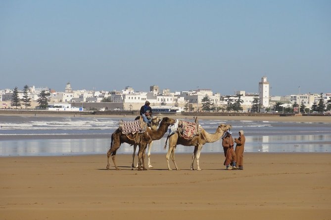 Exploring Essaouira: A Day of Coastal Charm" - Artisanal Delights: Shopping in Souks