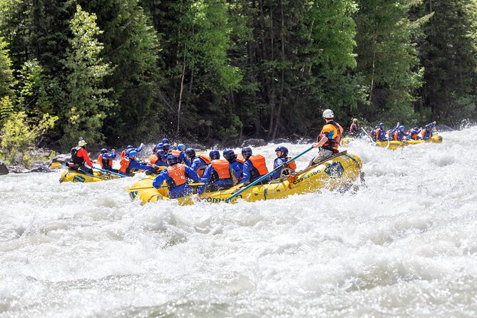 Extreme Whitewater Rafting on Kicking Horse River - Participant Requirements and Restrictions