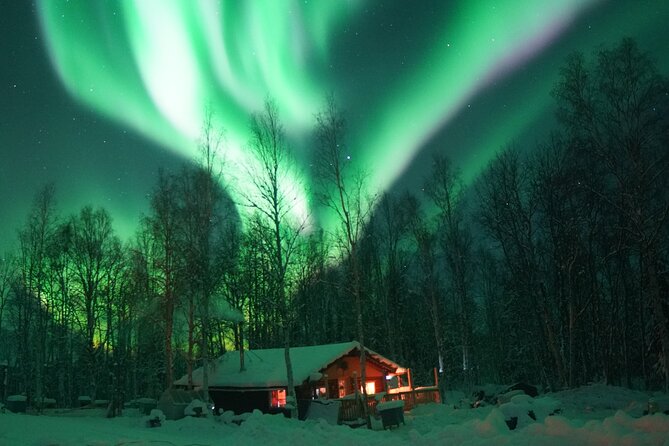 Fairbanks Private Northern Lights and Photography Tour - Inclusions and Safety Measures
