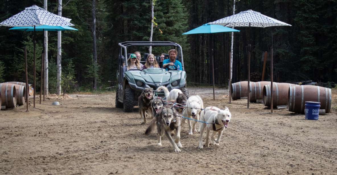 Fairbanks: Summer Mushing Cart Ride and Kennel Tour - Booking Information