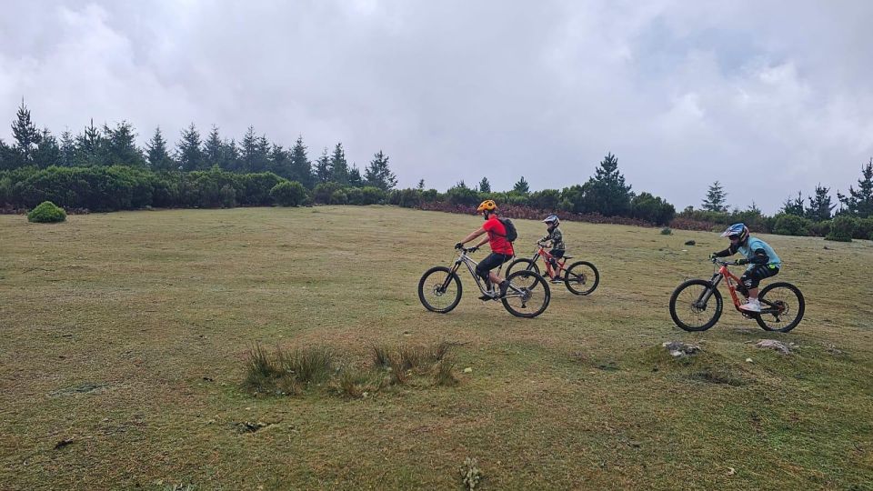 Family Bike Holiday - Madeira Mountain Bike - Group Size and Personalized Service