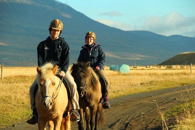 Family Friendly Horse Riding Tour in Skagafjörður - Inclusions Provided