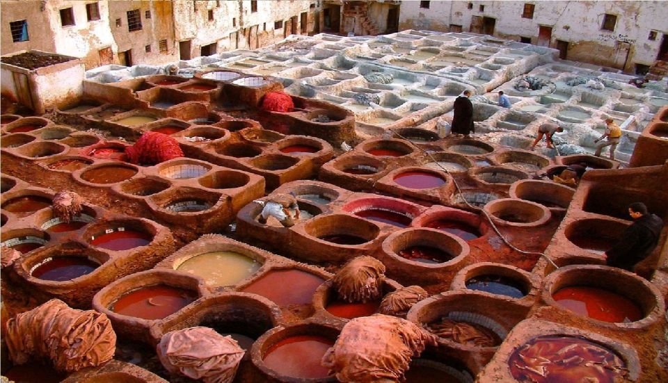 Fes Cultural Day Tour - Experience Highlights