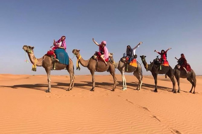 Fes Desert Tour 2 Days - Traveler Experiences