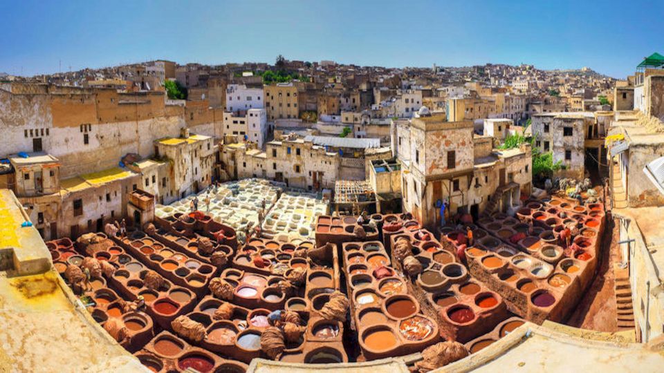 Fes Medina : Full Day Guided Tours - Experience Highlights