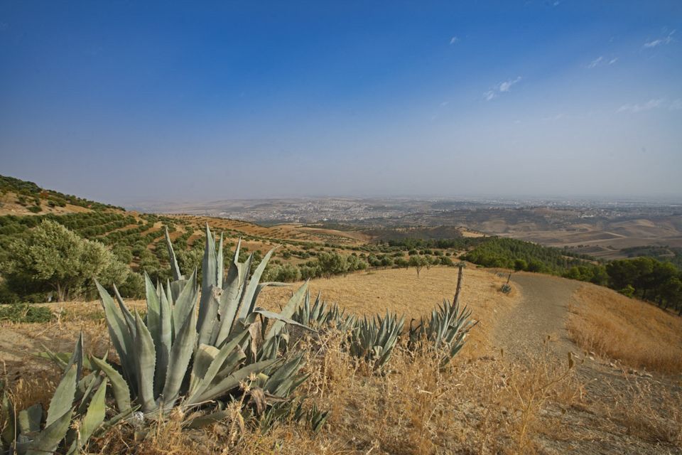 Fes: Private Hiking Experience Along the Zalagh Hillside - Experience Highlights