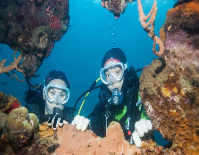 Fethiye: 2 Guided Scuba Dives With Lunch and Hotel Transfers - Scuba Diving Experience Highlights
