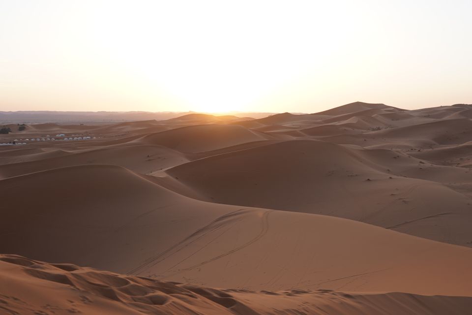 Fez Desert Discovery: 2 Days, 1 Night - Great Deal! - Logistics and Communication
