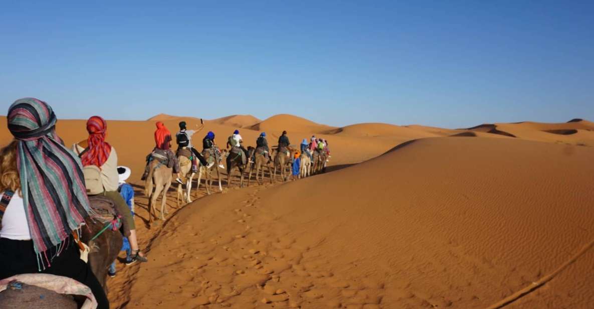 Fez to Fez : the Luxury 2 Days 1 Night Desert Tour - Experience Highlights and Itinerary Details