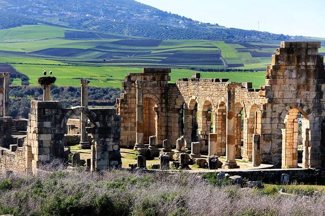 Fez to Meknes,Moulay Idriss & Volubilis Day Trip - Tour Itinerary Overview