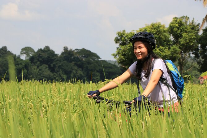 FIELDS OF GOLD Mountain Biking Tour Chiang Mai - Cycling Routes