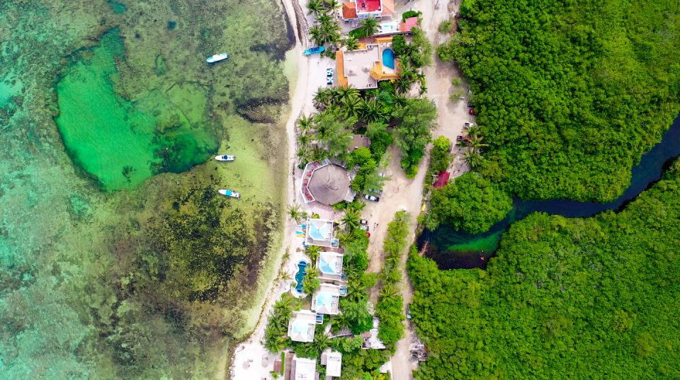 First Scuba Diving Experience in a Cenote - Activity Highlights