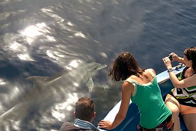 Fishing, Snorkelling & Dolphin Boat Tour - Traveler Experiences