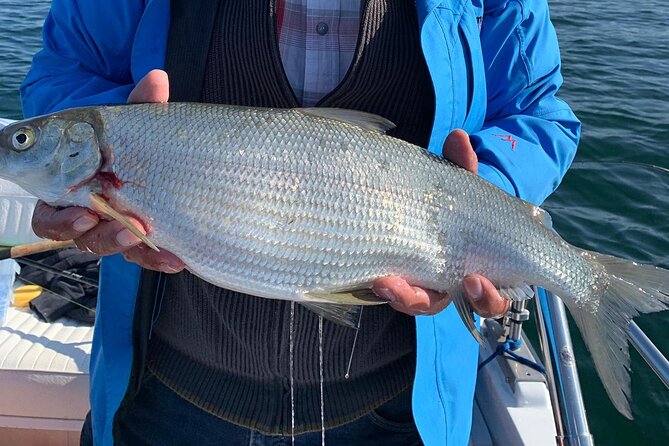 Fishing Tour With a Fishing Boat at Lake Constance (Untersee) - Fishing Equipment Provided