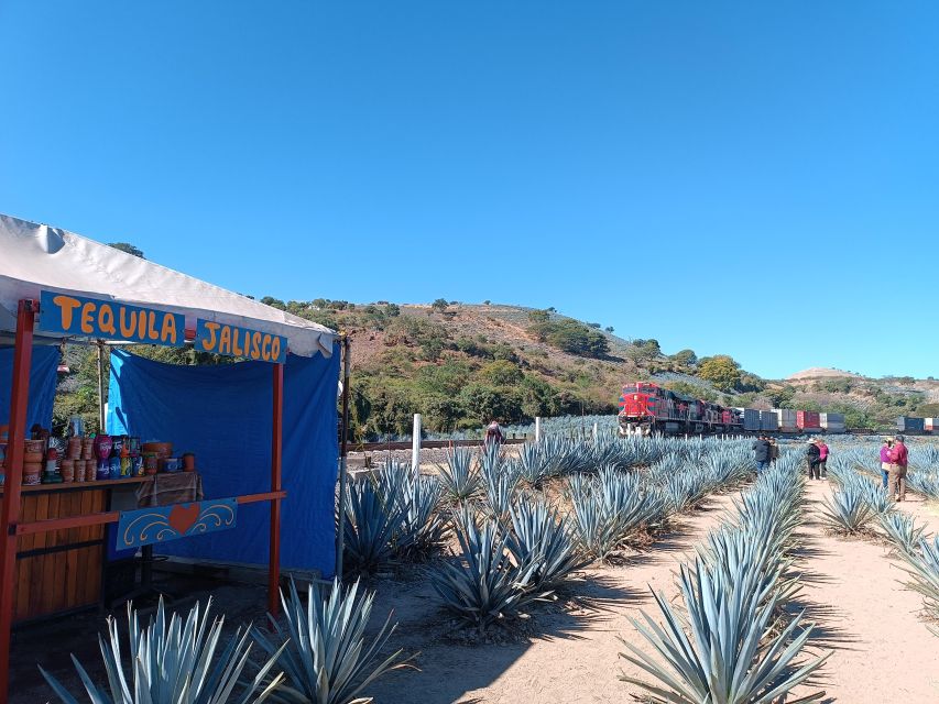 Five-Star Factory: Meet Orendain Tequila. - Cultural Town Exploration