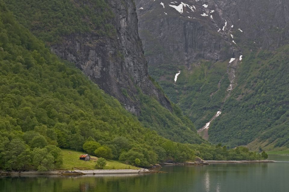 Fjords: Private Trip With Train and Cruise Ride - Experience Highlights