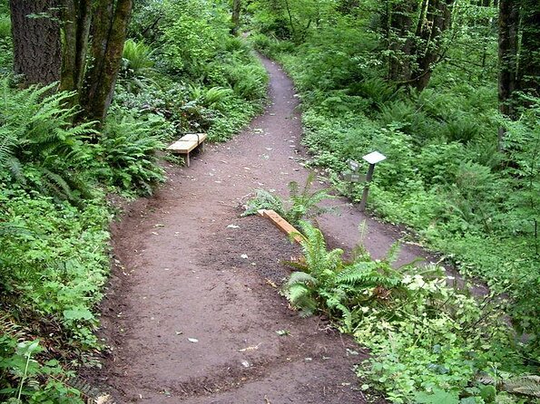 Forest Park Urban Hiking Tour, Portland - Booking Information