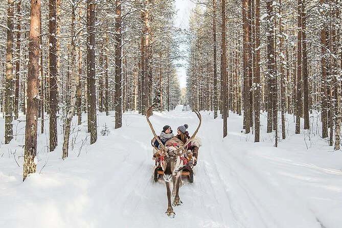 Forest Trail Reindeer Safari - Visit to Reindeer Farm