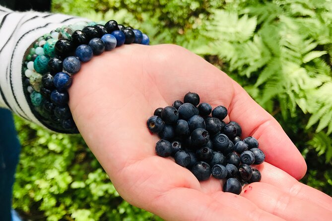 Forestbathing and Natural Spring Water - in Stockholm Nature - Importance of Natural Spring Water