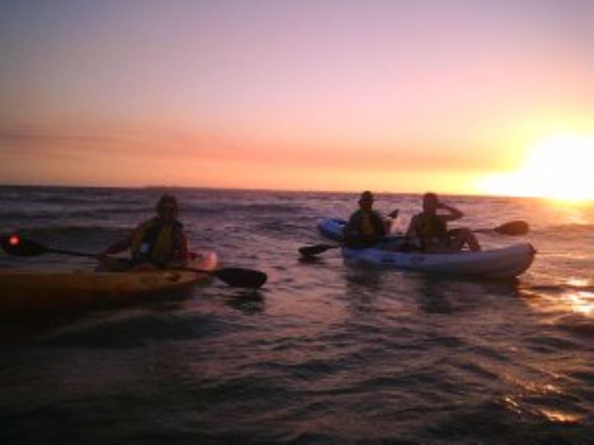 Fort Myers: Guided Sunset Kayaking Tour Through Pelican Bay - Wildlife Spotting Opportunities