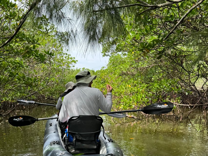Fort Pierce: 6-hr Mangroves, Coastal Rivers & Wildlife in FL - Experience Highlights