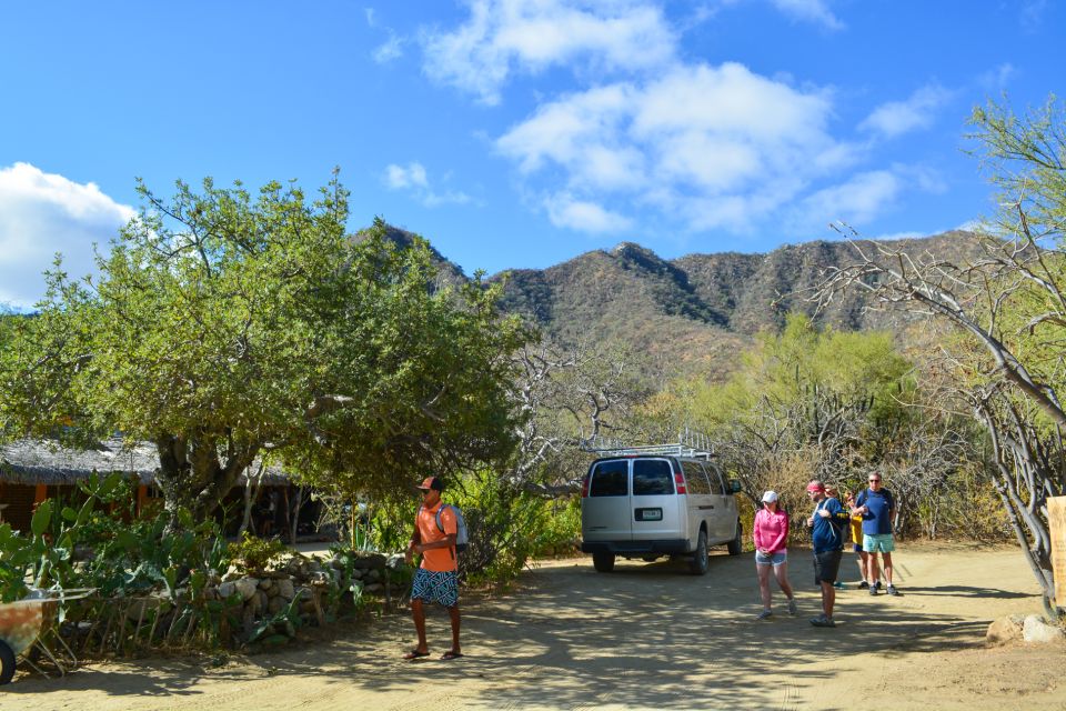 Fox Canyon: Day Hike - Tour Highlights